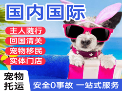 石河子花园国际宠物托运 【国